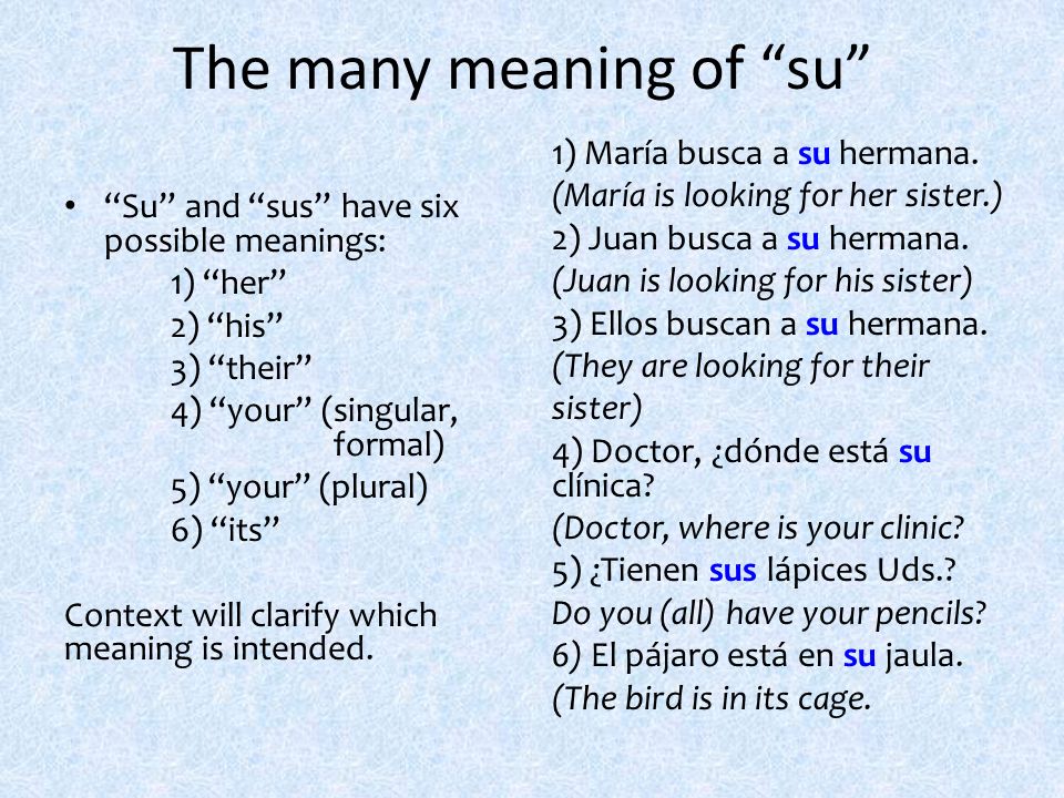 The many meaning of su Su and sus have six possible meanings: 1) her 2) his 3) their 4) your (singular, formal) 5) your (plural) 6) its Context will clarify which meaning is intended.