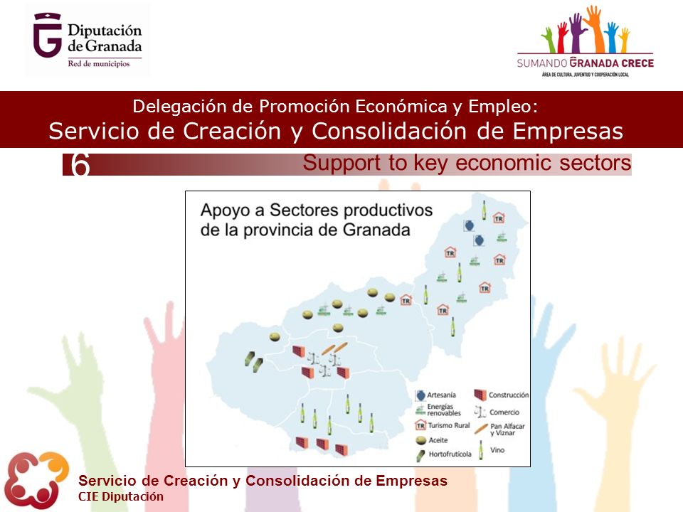 Delegación de Promoción Económica y Empleo: Servicio de Creación y Consolidación de Empresas CIE Diputación Support to key economic sectors 6