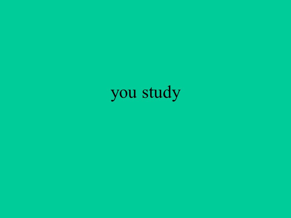 you study
