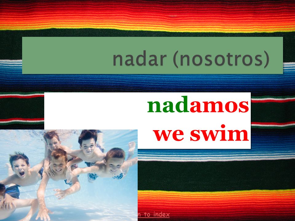 nadamos we swim nadamos we swim return to index