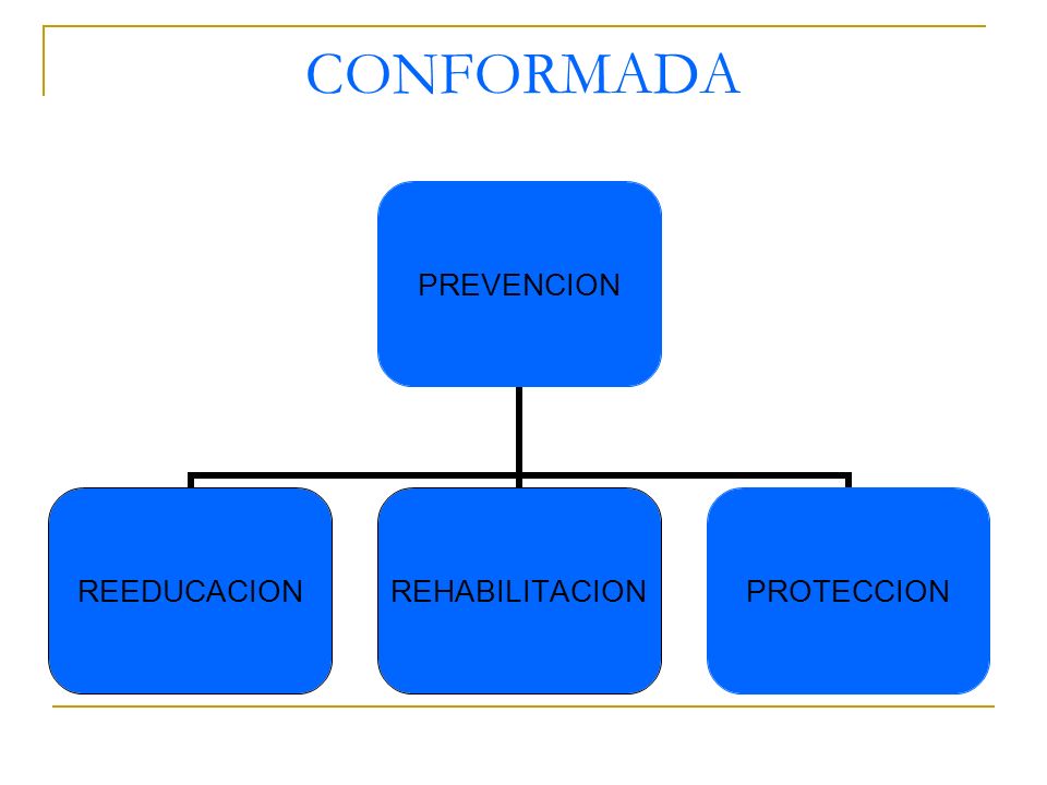 CONFORMADA PREVENCION REEDUCACIONREHABILITACIONPROTECCION