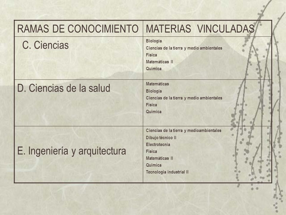 RAMAS DE CONOCIMIENTOMATERIAS VINCULADAS C.