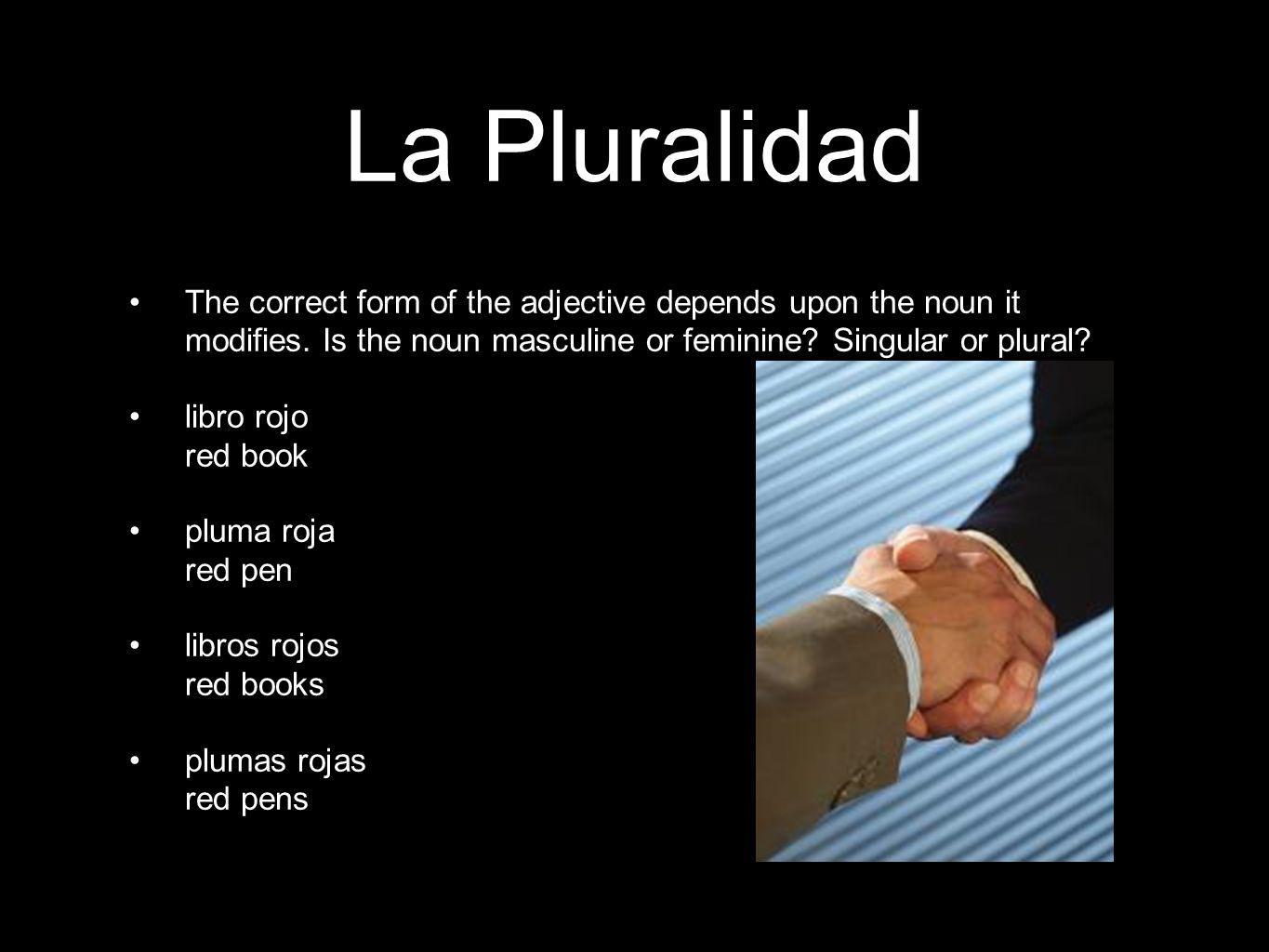 La Pluralidad The correct form of the adjective depends upon the noun it modifies.