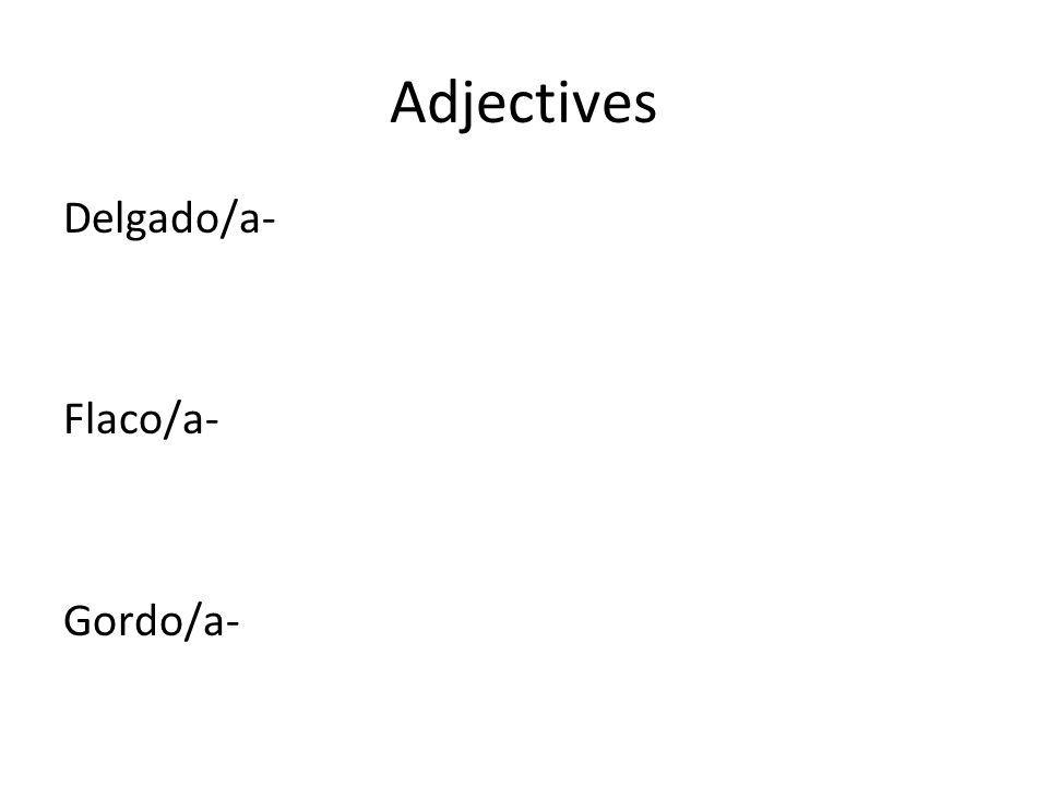 Adjectives Delgado/a- Flaco/a- Gordo/a-