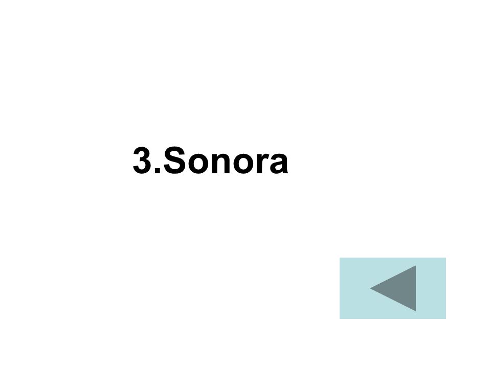 3.Sonora