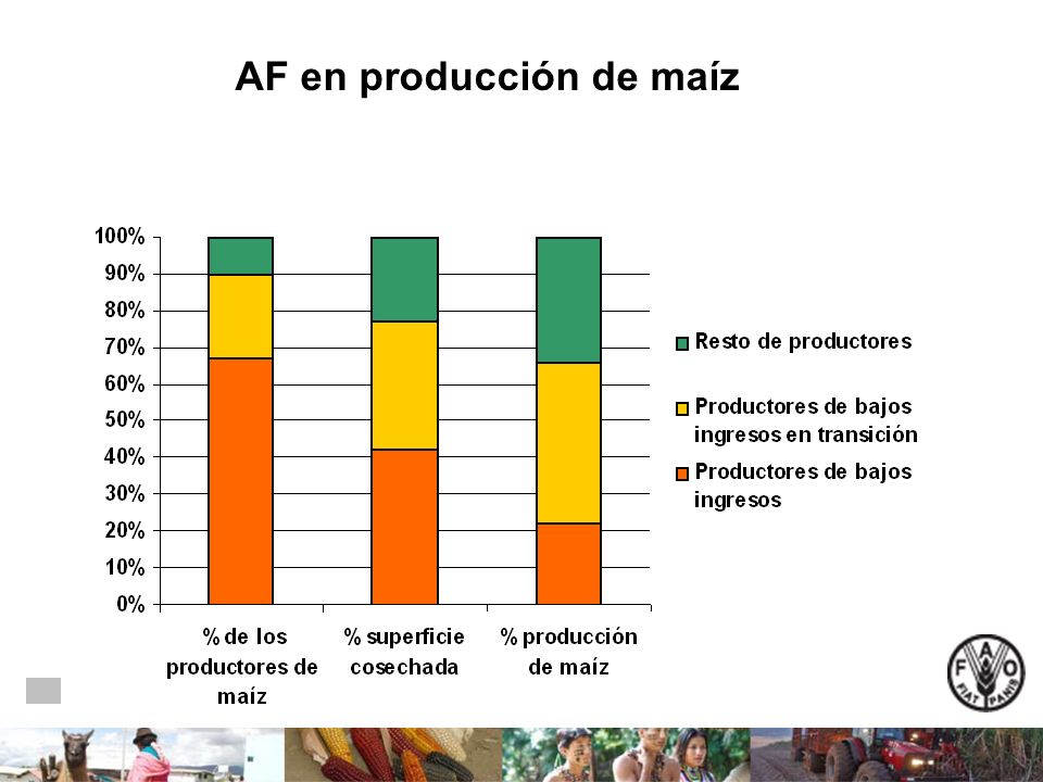 AF en producción de maíz