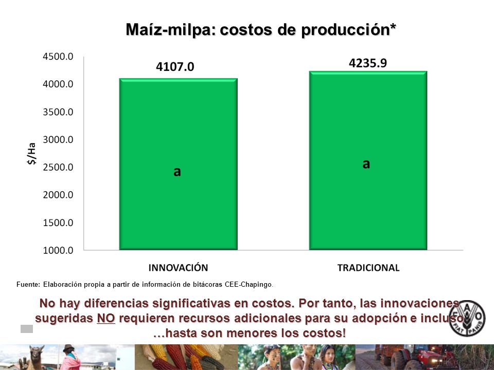 Maíz-milpa: costos de producción* Maíz-milpa: costos de producción* a a Fuente: Elaboración propia a partir de información de bitácoras CEE-Chapingo.