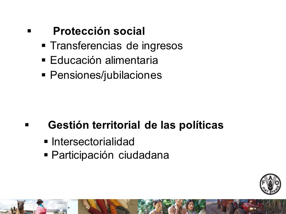 Protección social Transferencias de ingresos Educación alimentaria Pensiones/jubilaciones Gestión territorial de las políticas Intersectorialidad Participación ciudadana