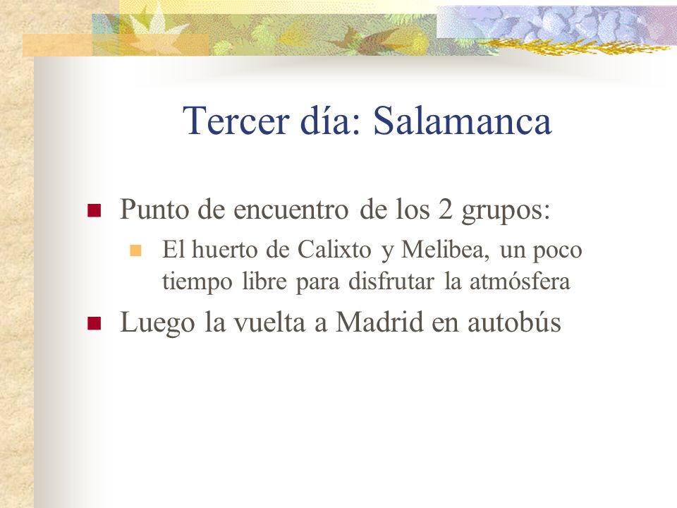 Tercer día: Salamanca Punto de encuentro de los 2 grupos: El huerto de Calixto y Melibea, un poco tiempo libre para disfrutar la atmósfera Luego la vuelta a Madrid en autobús