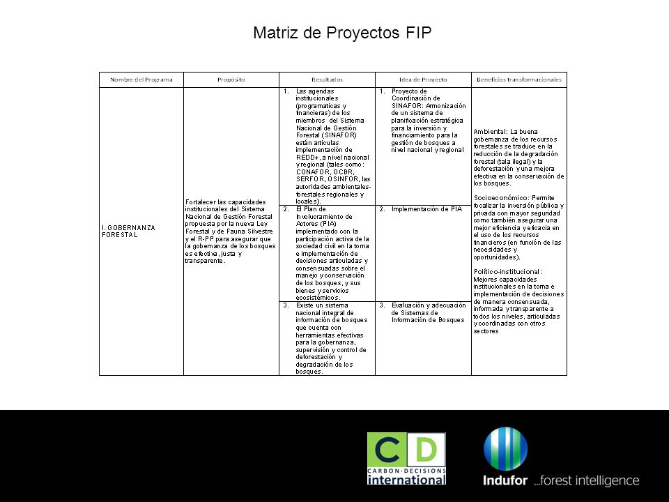02/01/2014 Matriz de Proyectos FIP