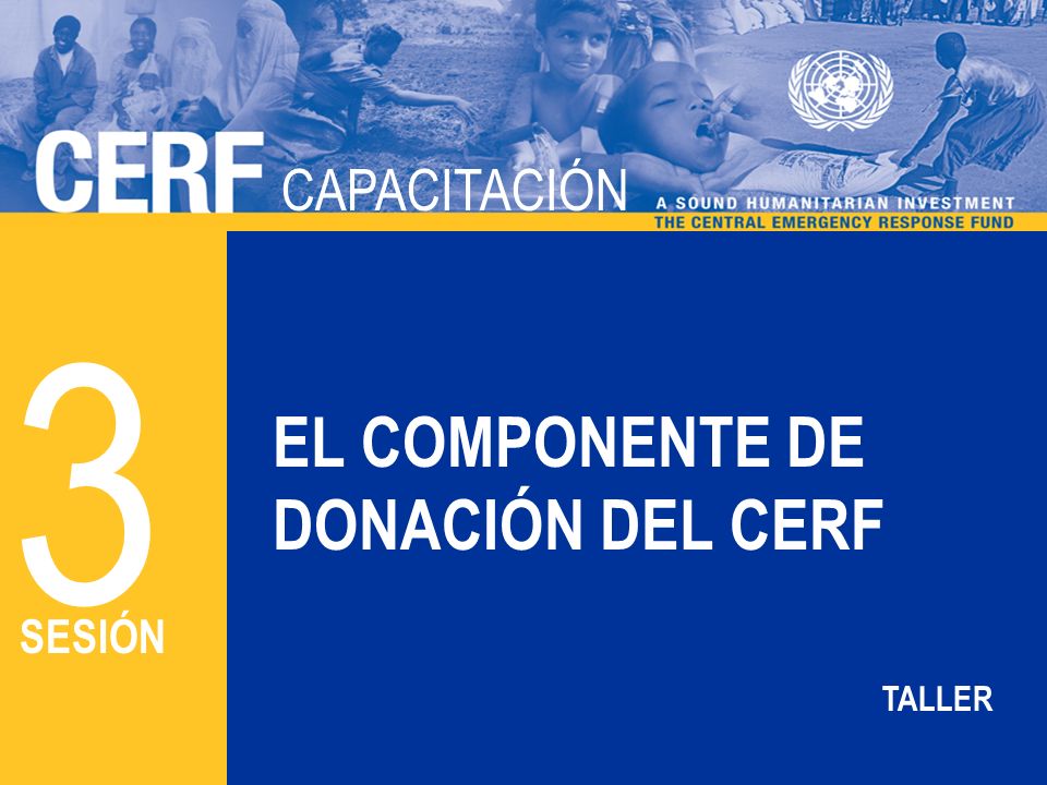 CAPACITACIÓN DEL CERF CAPACITACIÓN EL COMPONENTE DE DONACIÓN DEL CERF 3 SESIÓN TALLER