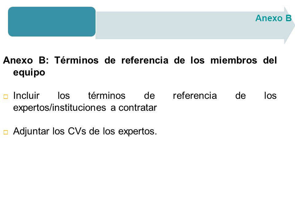 Anexo B: Términos de referencia de los miembros del equipo Incluir los términos de referencia de los expertos/instituciones a contratar Adjuntar los CVs de los expertos.