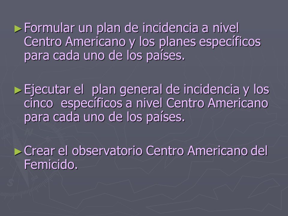 Formular un plan de incidencia a nivel Centro Americano y los planes específicos para cada uno de los países.