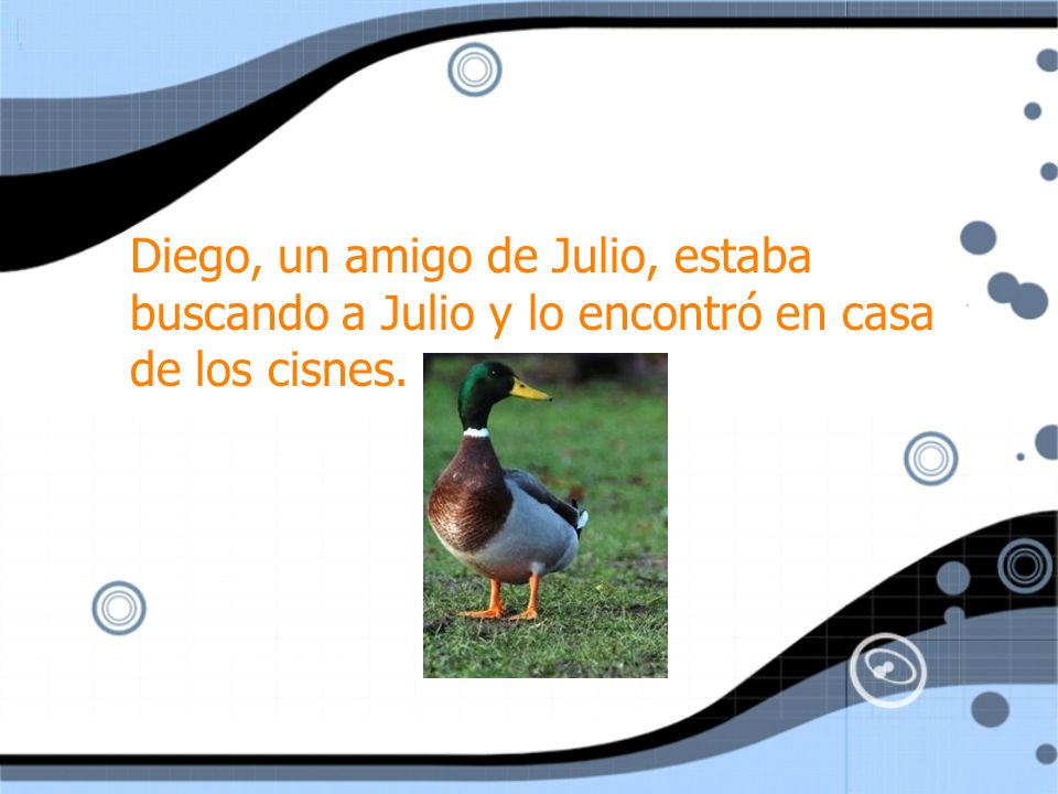Diego, un amigo de Julio, estaba buscando a Julio y lo encontró en casa de los cisnes.