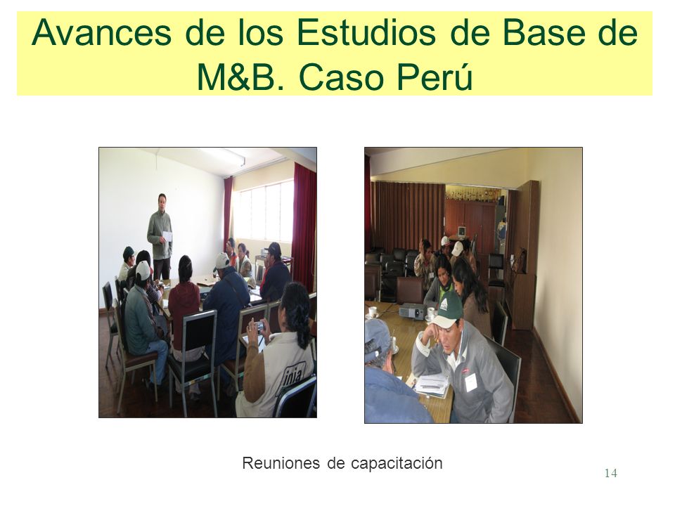 14 Avances de los Estudios de Base de M&B. Caso Perú Reuniones de capacitación