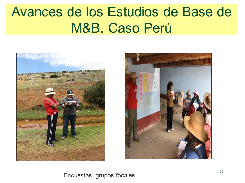 15 Avances de los Estudios de Base de M&B. Caso Perú Encuestas, grupos focales