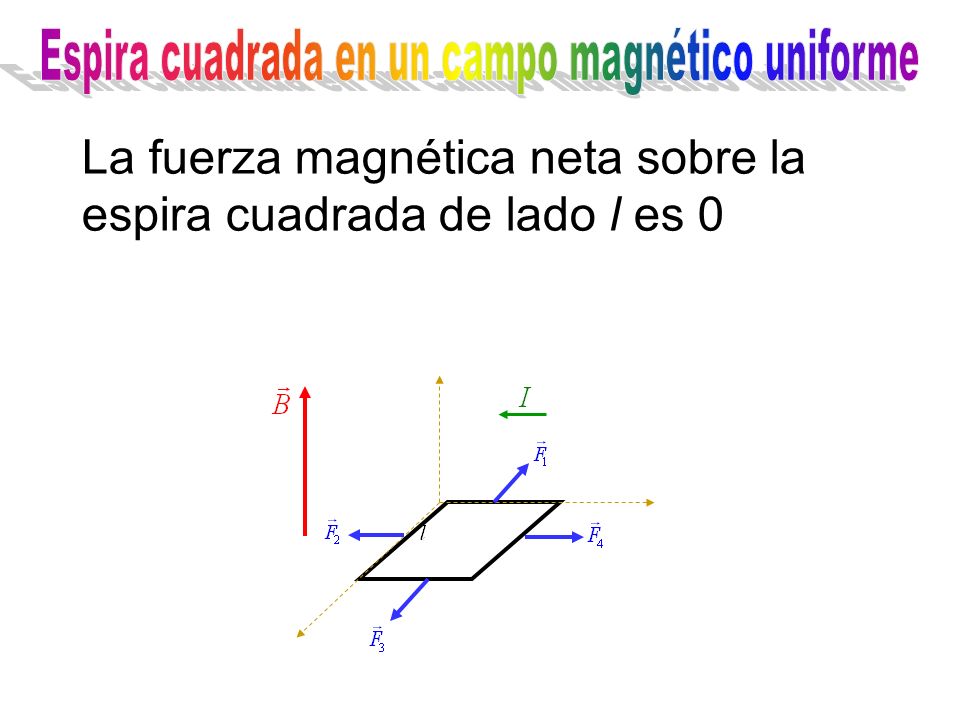 La fuerza magnética neta sobre la espira cuadrada de lado l es 0