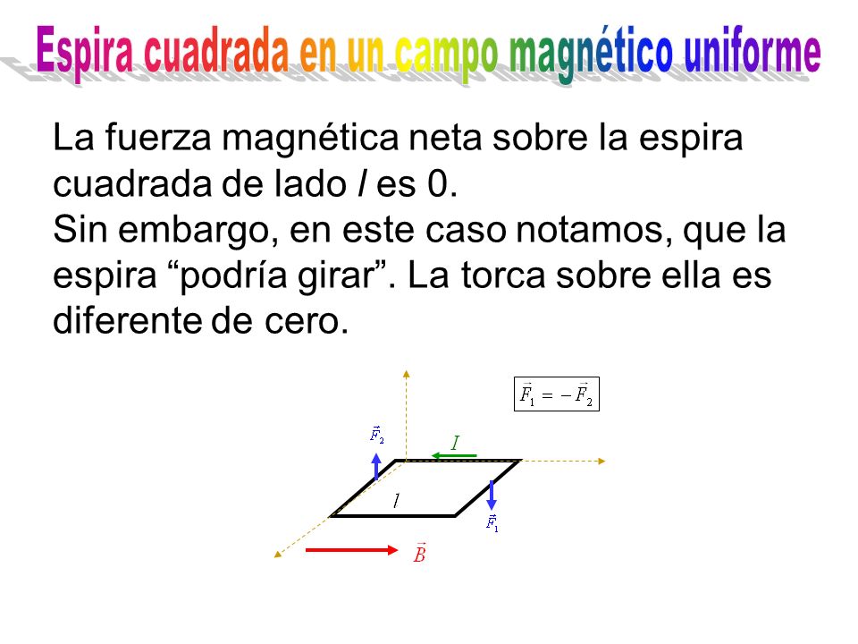 La fuerza magnética neta sobre la espira cuadrada de lado l es 0.