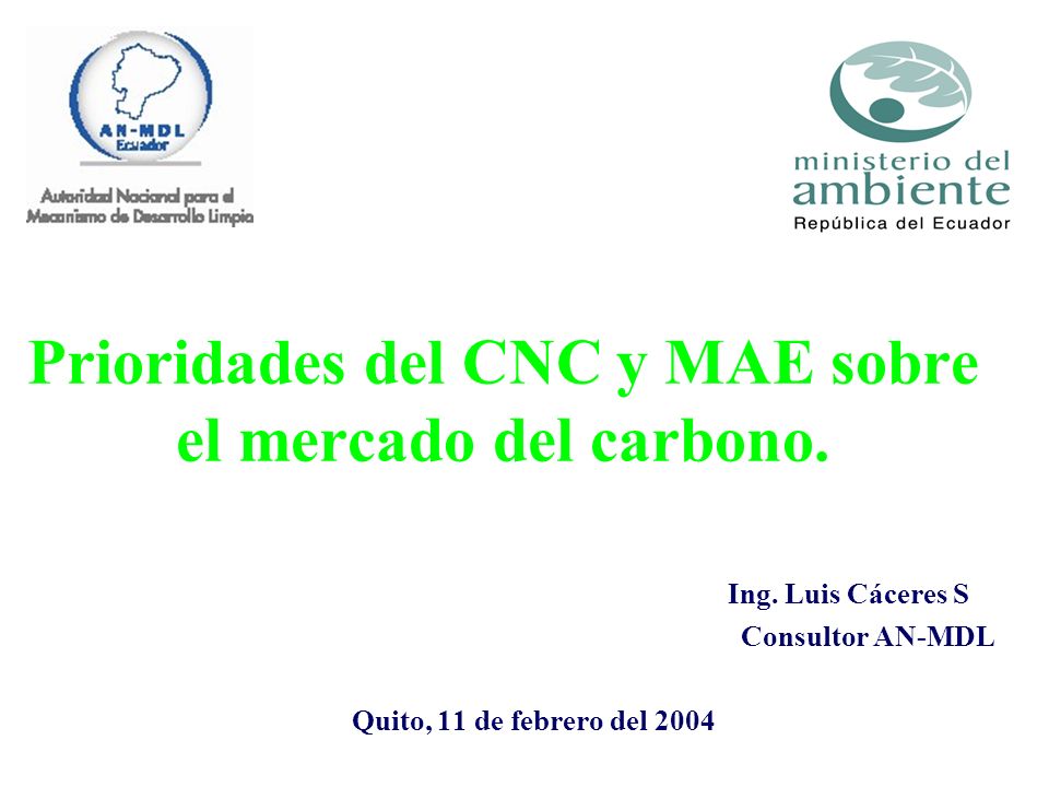 Prioridades del CNC y MAE sobre el mercado del carbono.