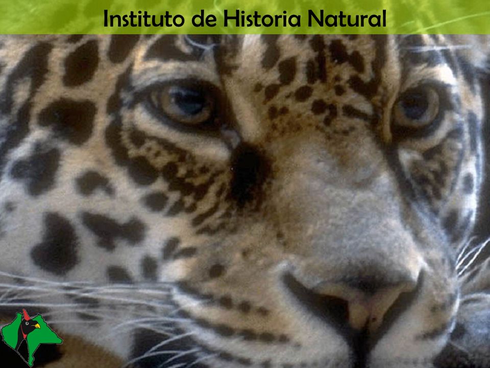 Instituto de Historia Natural