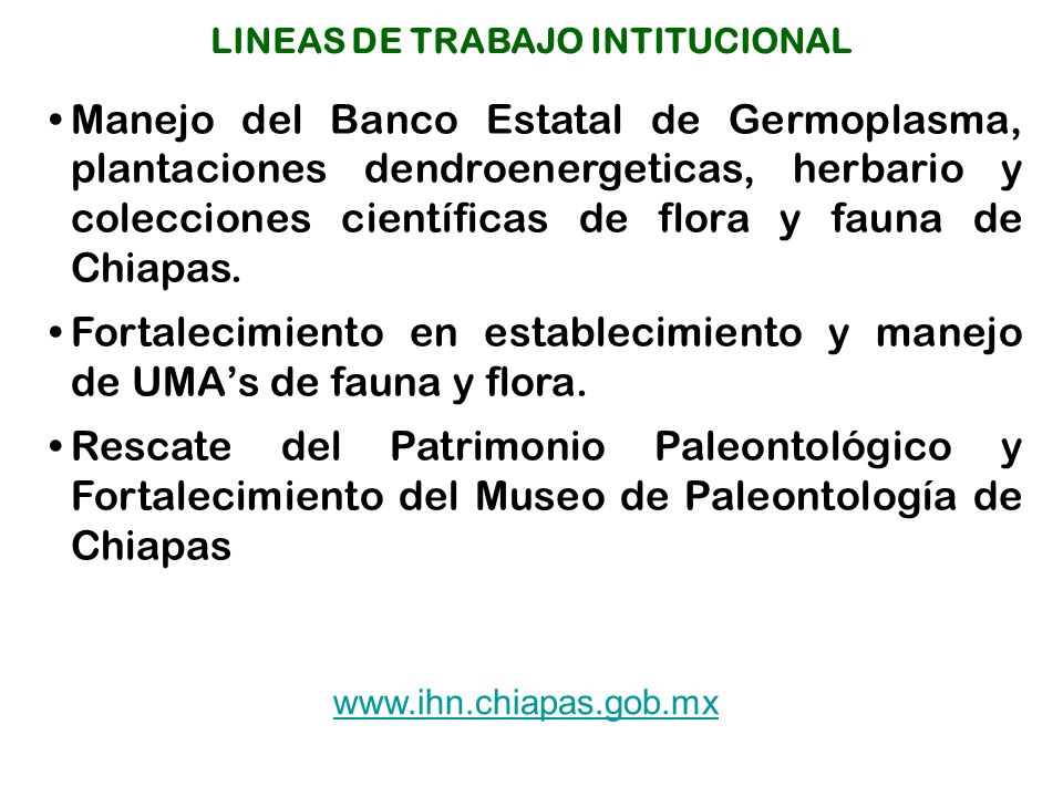 Manejo del Banco Estatal de Germoplasma, plantaciones dendroenergeticas, herbario y colecciones científicas de flora y fauna de Chiapas.