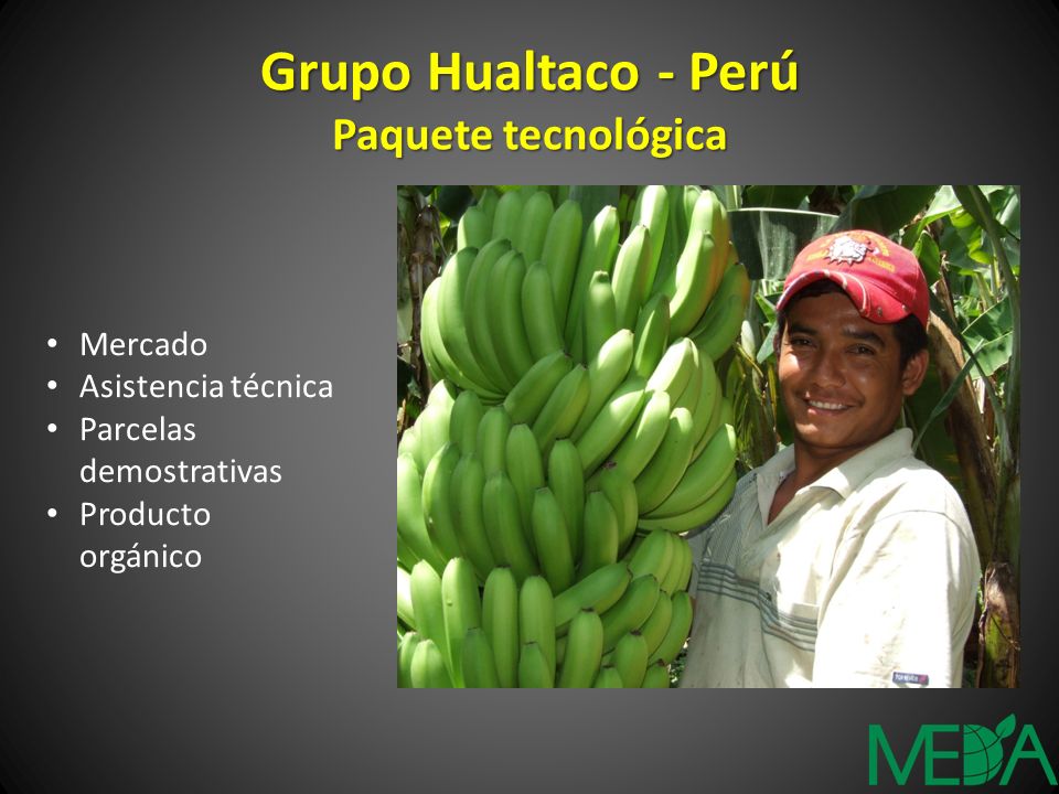 Grupo Hualtaco - Perú Paquete tecnológica Mercado Asistencia técnica Parcelas demostrativas Producto orgánico
