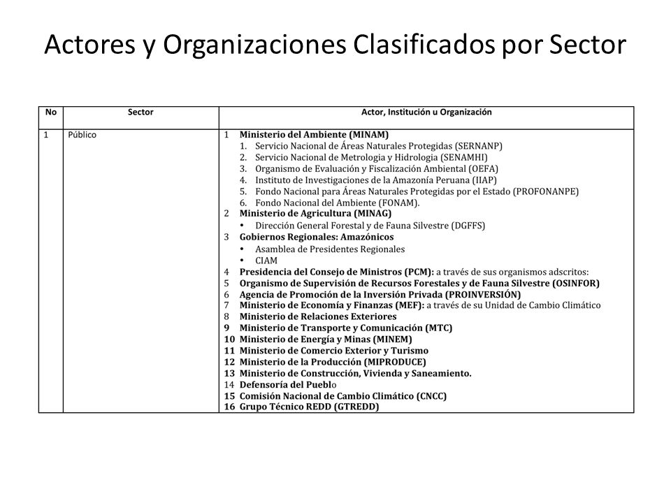 Actores y Organizaciones Clasificados por Sector