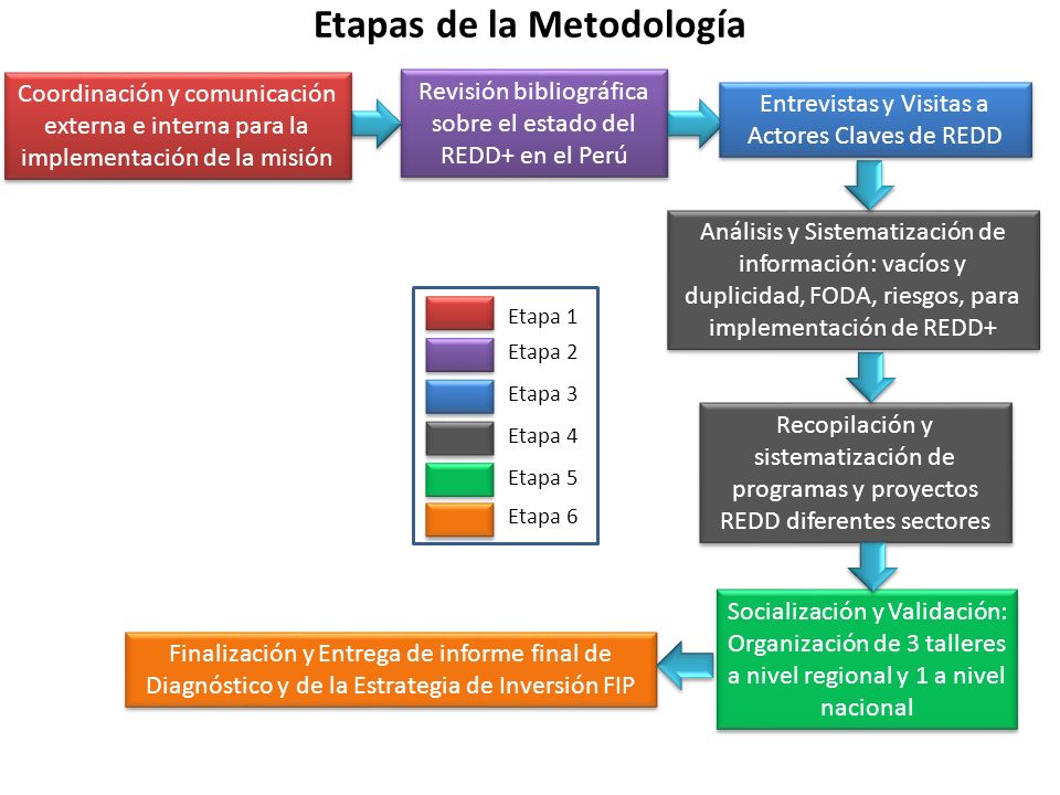 Revisión bibliográfica sobre el estado del REDD+ en el Perú Recopilación y sistematización de programas y proyectos REDD diferentes sectores Entrevistas y Visitas a Actores Claves de REDD Análisis y Sistematización de información: vacíos y duplicidad, FODA, riesgos, para implementación de REDD+ Socialización y Validación: Organización de 3 talleres a nivel regional y 1 a nivel nacional Finalización y Entrega de informe final de Diagnóstico y de la Estrategia de Inversión FIP Coordinación y comunicación externa e interna para la implementación de la misión Etapa 1 Etapa 2 Etapa 3 Etapa 4 Etapa 5 Etapa 6 Etapas de la Metodología
