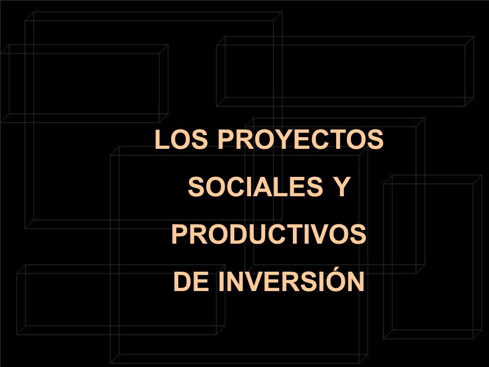 LOS PROYECTOS SOCIALES Y PRODUCTIVOS DE INVERSIÓN