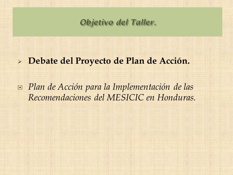 Debate del Proyecto de Plan de Acción.