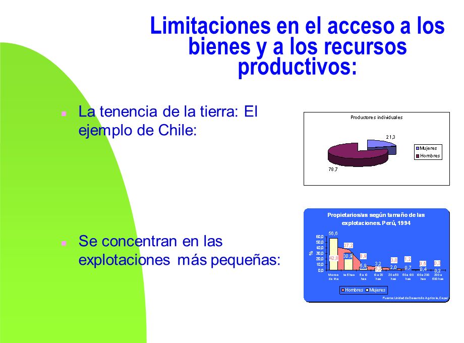 Limitaciones en el acceso a los bienes y a los recursos productivos: n La tenencia de la tierra: El ejemplo de Chile: n Se concentran en las explotaciones más pequeñas:
