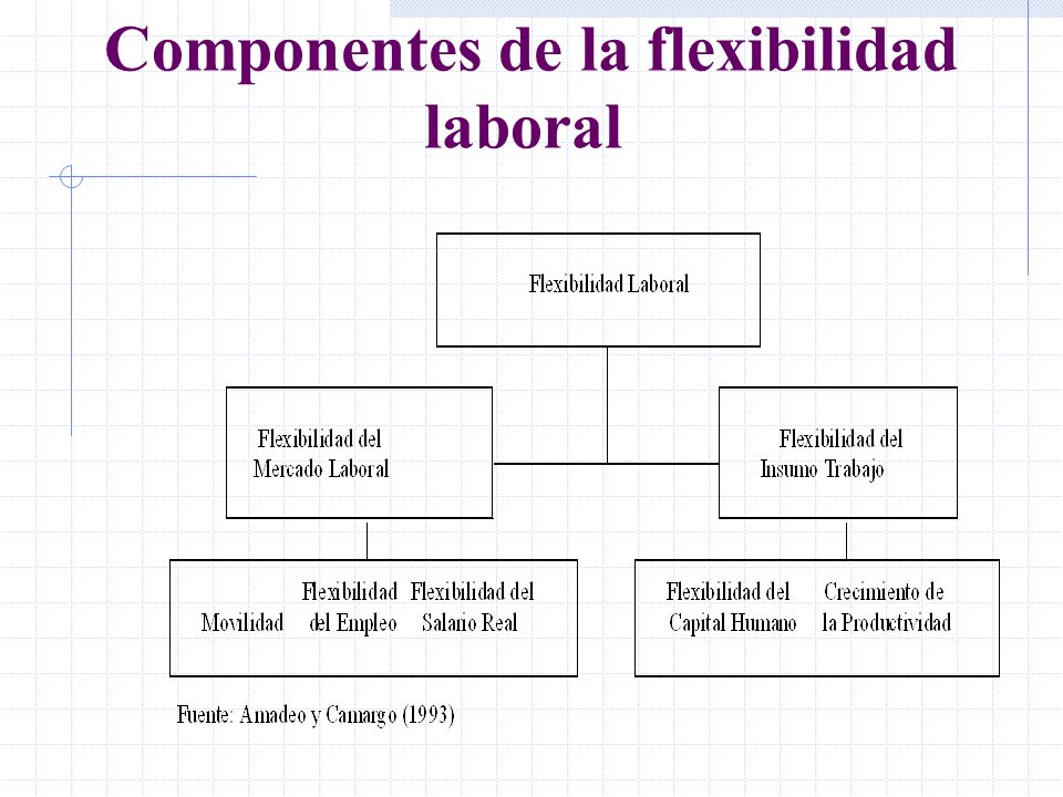Componentes de la flexibilidad laboral
