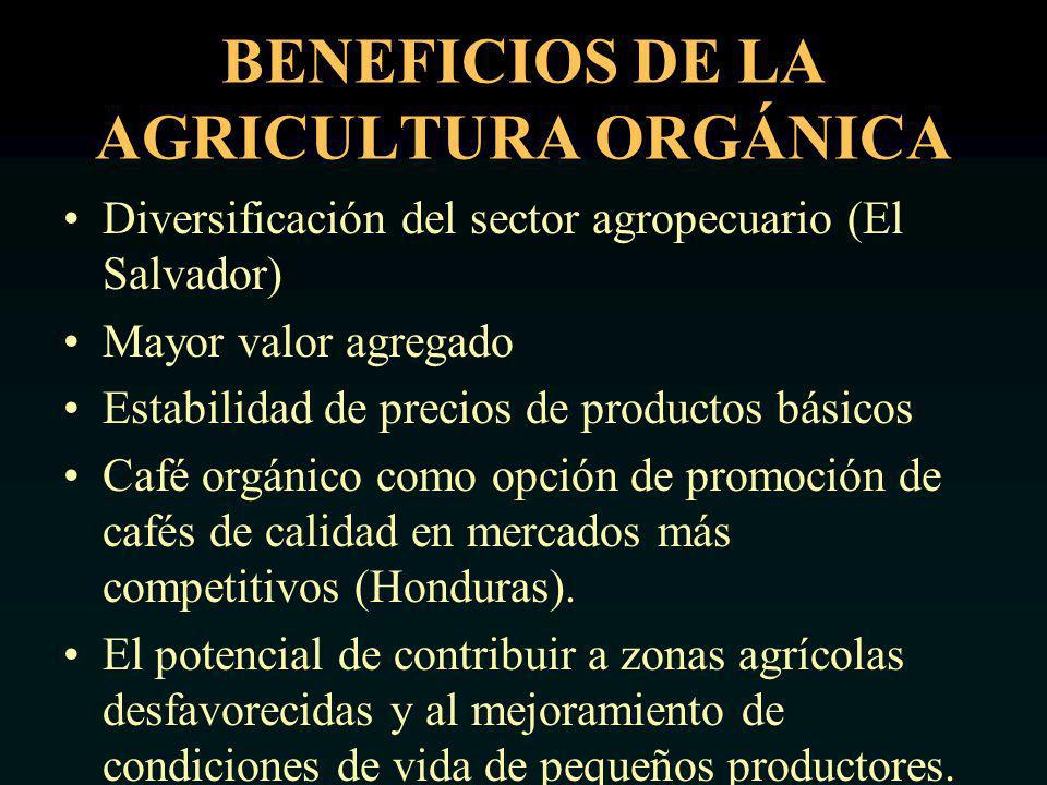 BENEFICIOS DE LA AGRICULTURA ORGÁNICA Diversificación del sector agropecuario (El Salvador) Mayor valor agregado Estabilidad de precios de productos básicos Café orgánico como opción de promoción de cafés de calidad en mercados más competitivos (Honduras).