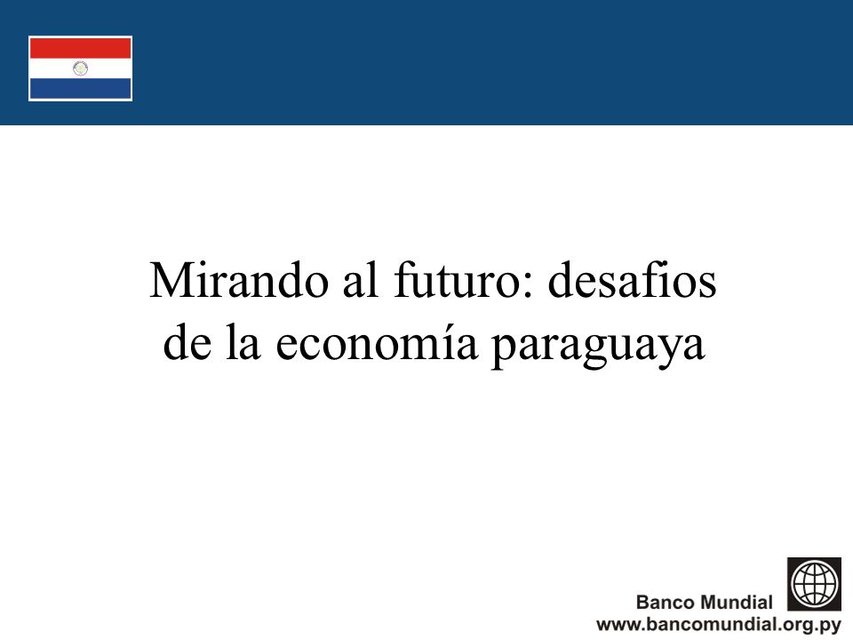 Mirando al futuro: desafios de la economía paraguaya