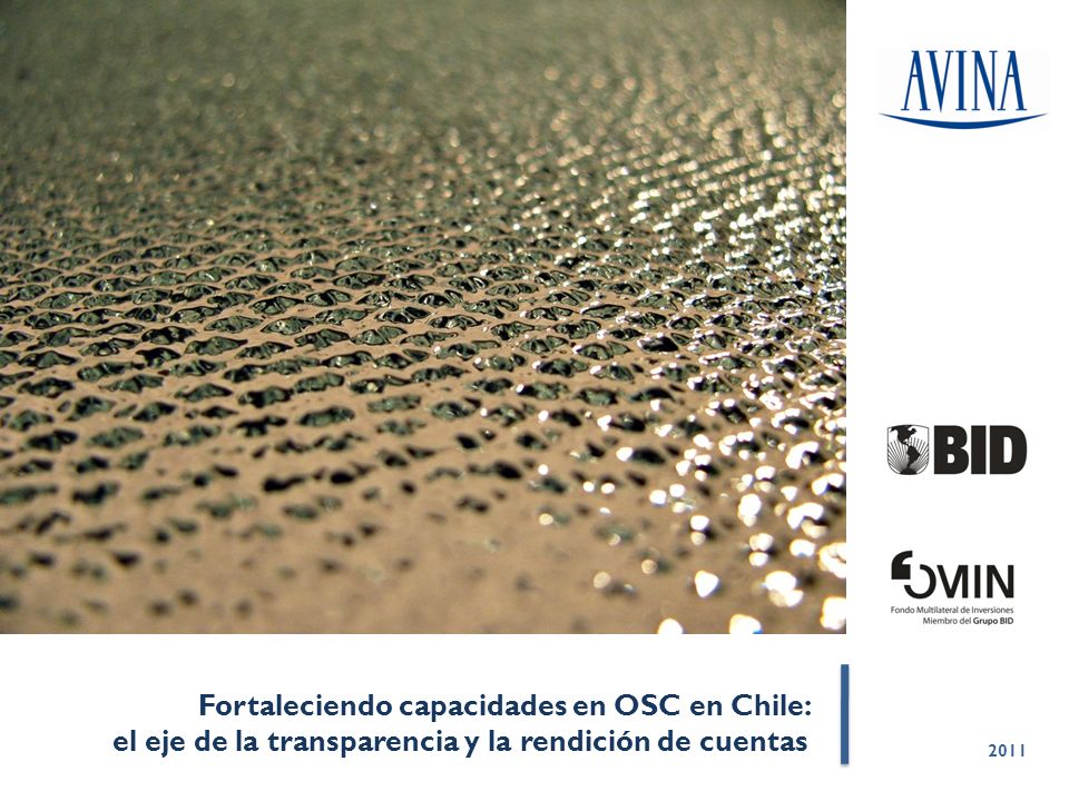 Fortaleciendo capacidades en OSC en Chile: el eje de la transparencia y la rendición de cuentas 2011