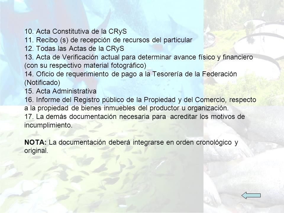 10. Acta Constitutiva de la CRyS 11. Recibo (s) de recepción de recursos del particular 12.