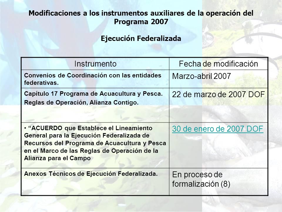 Modificaciones a los instrumentos auxiliares de la operación del Programa 2007 Ejecución Federalizada InstrumentoFecha de modificación Convenios de Coordinación con las entidades federativas.