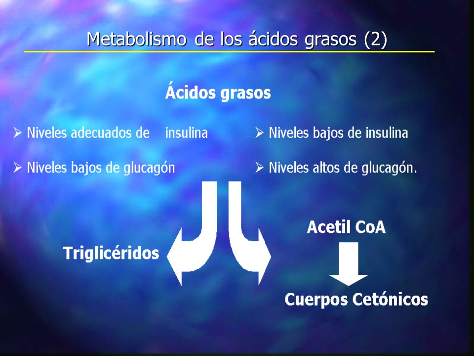 Metabolismo de los ácidos grasos (2)