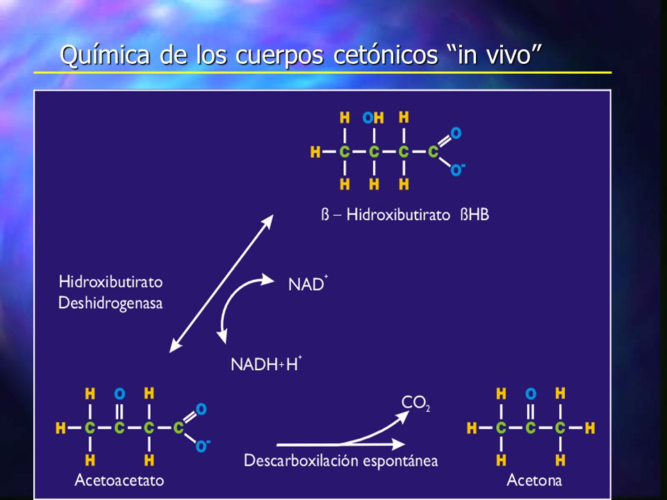 Química de los cuerpos cetónicos in vivo