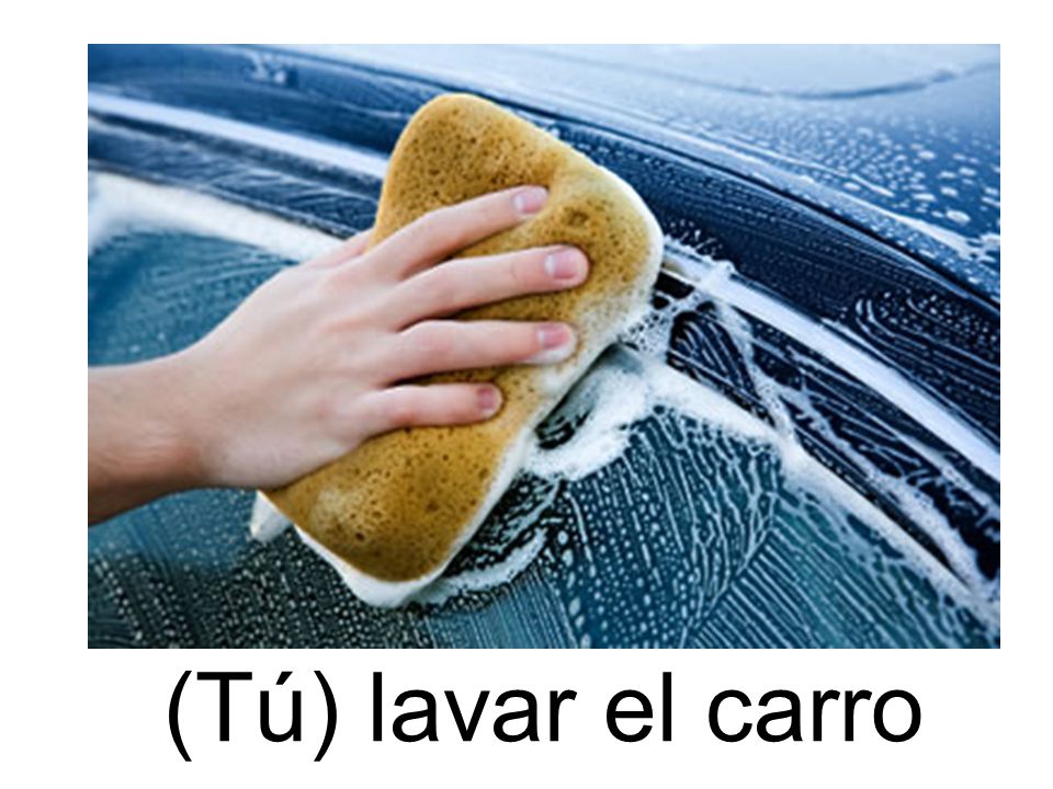 (Tú) lavar el carro