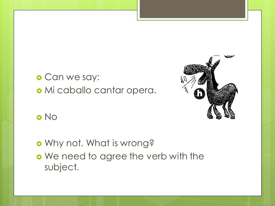 What is a verb.