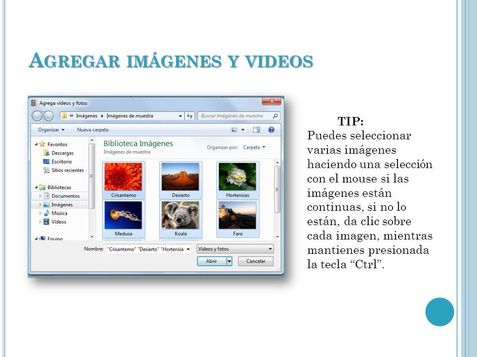 A GREGAR IMÁGENES Y VIDEOS TIP: Puedes seleccionar varias imágenes haciendo una selección con el mouse si las imágenes están continuas, si no lo están, da clic sobre cada imagen, mientras mantienes presionada la tecla Ctrl .