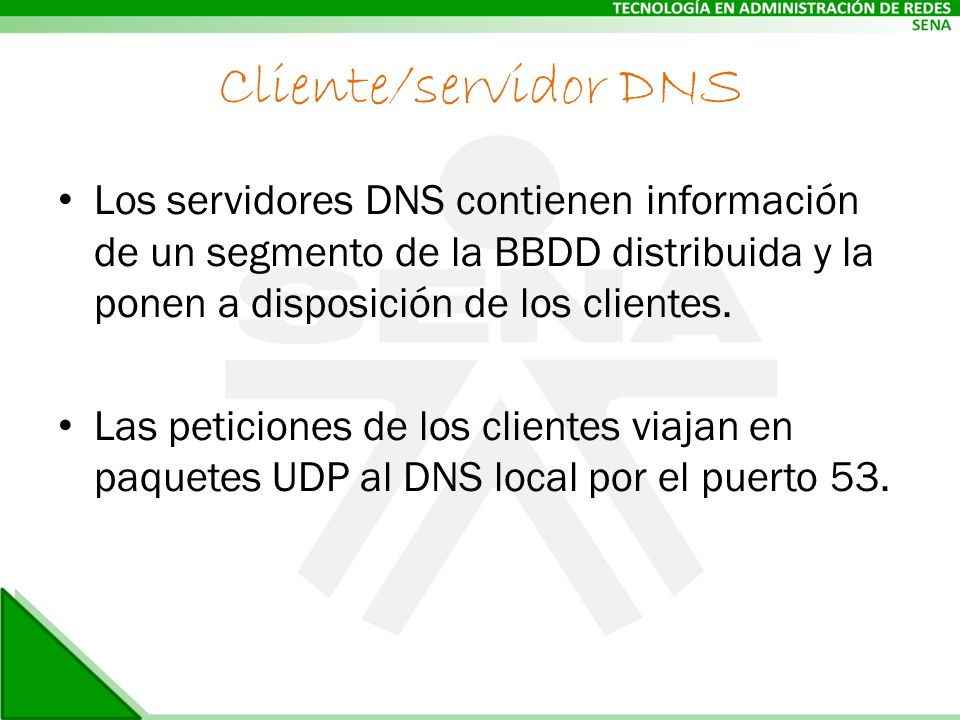 Cliente/servidor DNS Los servidores DNS contienen información de un segmento de la BBDD distribuida y la ponen a disposición de los clientes.