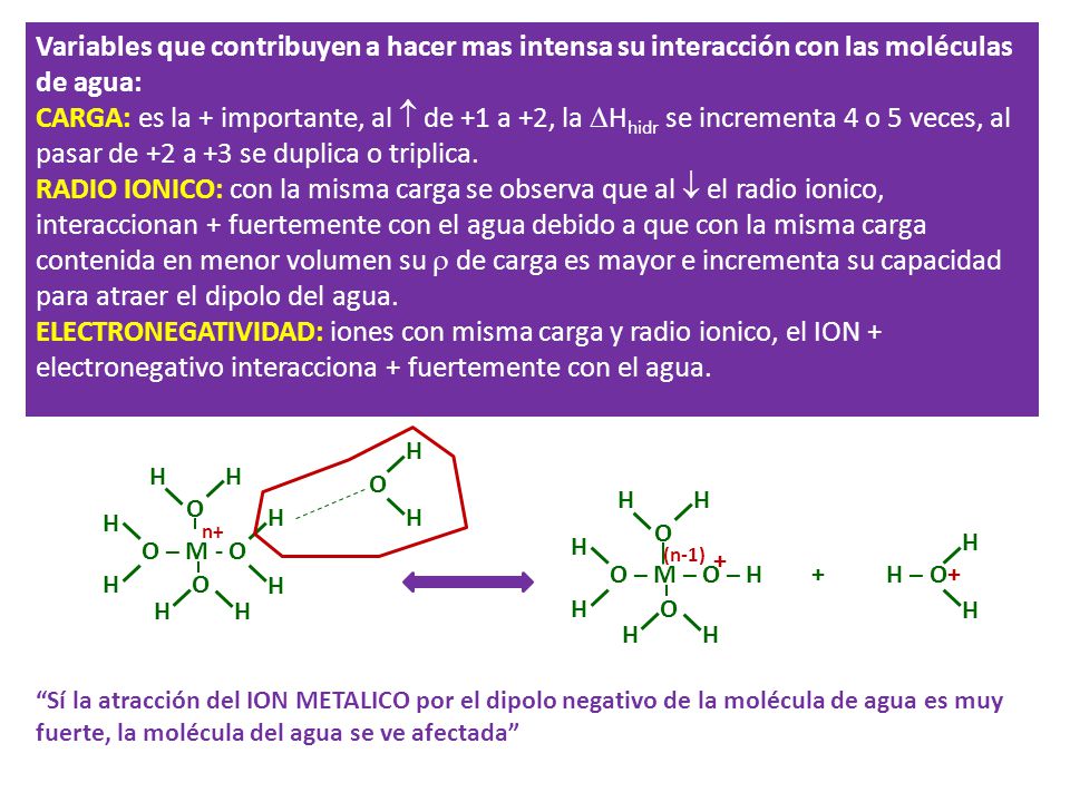 Variables que contribuyen a hacer mas intensa su interacción con las moléculas de agua: CARGA: es la + importante, al  de +1 a +2, la  H hidr se incrementa 4 o 5 veces, al pasar de +2 a +3 se duplica o triplica.