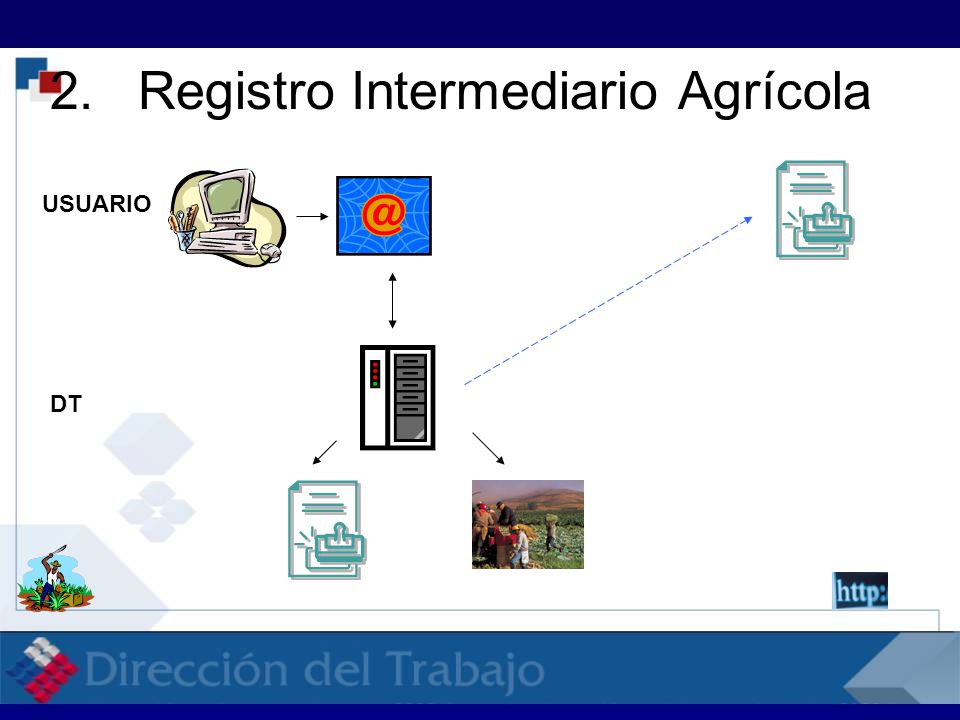 2.Registro Intermediario Agrícola USUARIO DT