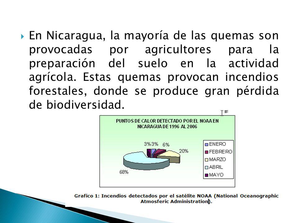  En Nicaragua, la mayoría de las quemas son provocadas por agricultores para la preparación del suelo en la actividad agrícola.