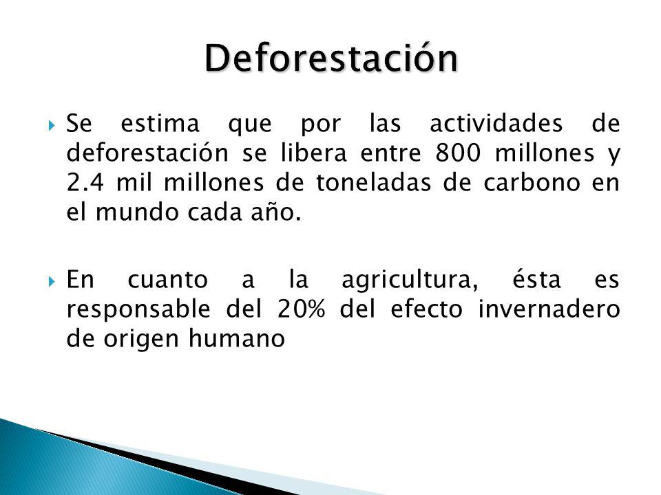  Se estima que por las actividades de deforestación se libera entre 800 millones y 2.4 mil millones de toneladas de carbono en el mundo cada año.