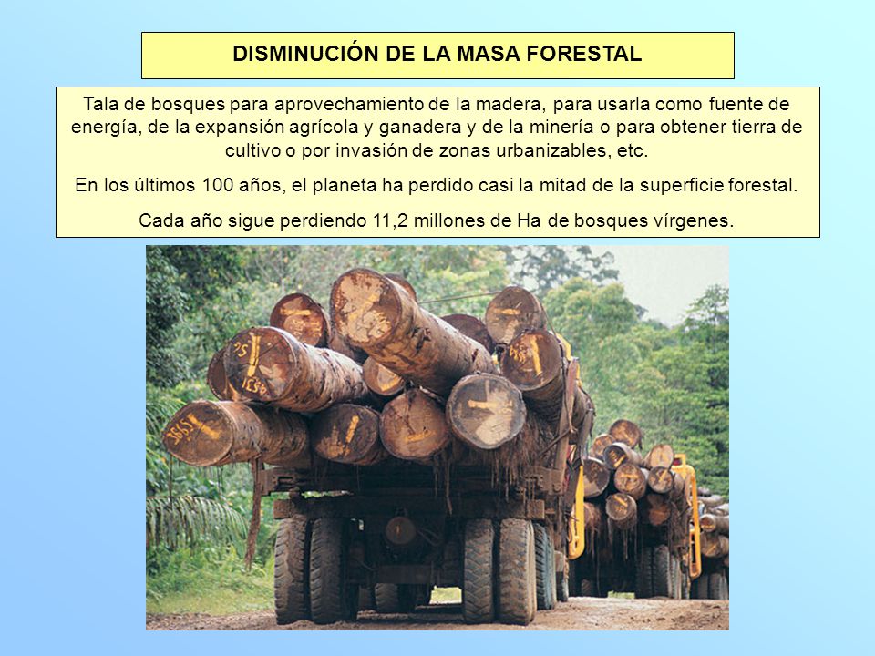 DISMINUCIÓN DE LA MASA FORESTAL Tala de bosques para aprovechamiento de la madera, para usarla como fuente de energía, de la expansión agrícola y ganadera y de la minería o para obtener tierra de cultivo o por invasión de zonas urbanizables, etc.