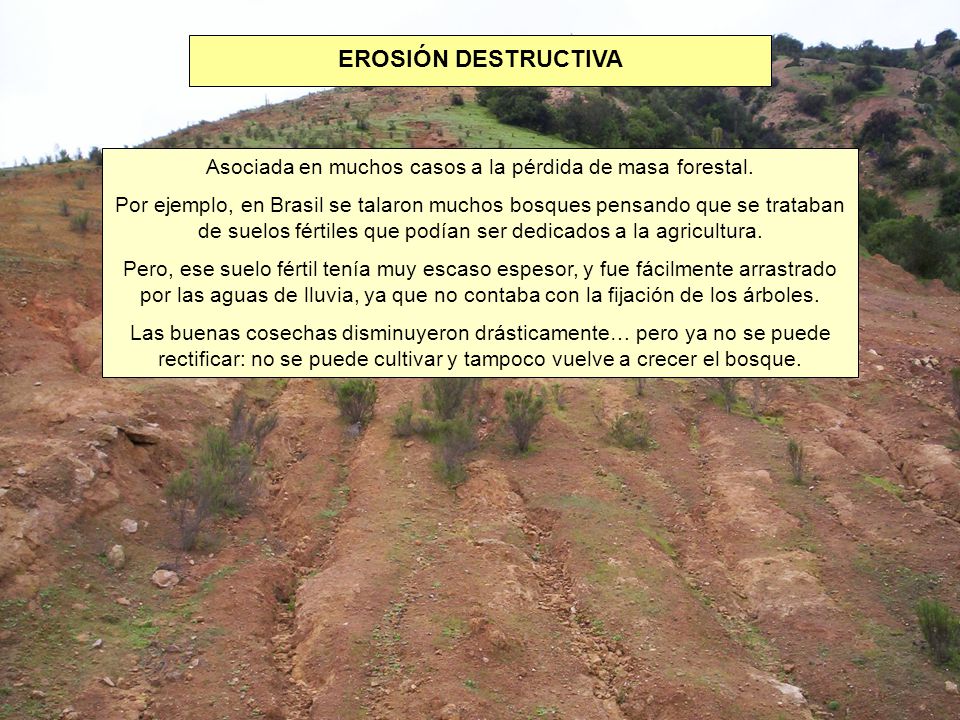 EROSIÓN DESTRUCTIVA Asociada en muchos casos a la pérdida de masa forestal.