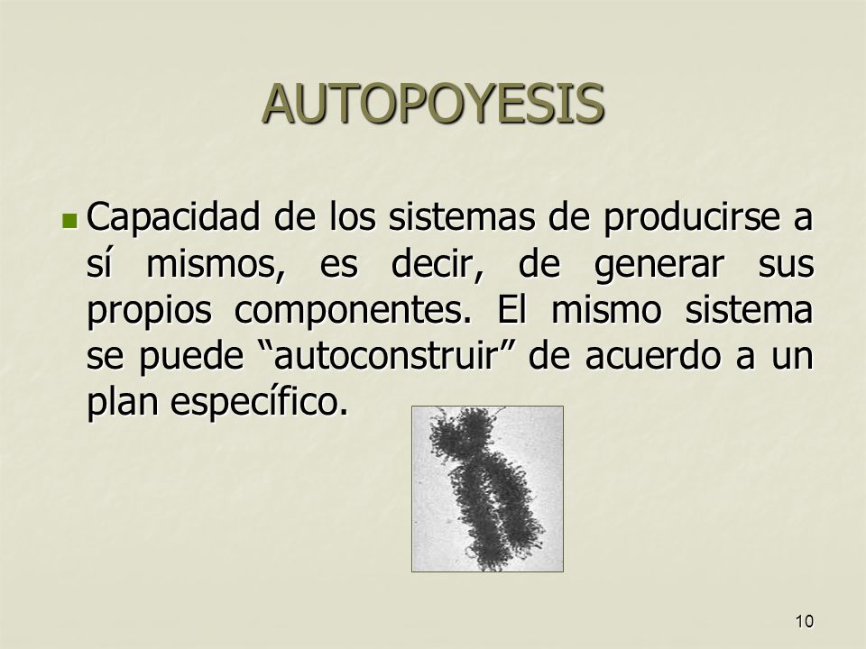 10 AUTOPOYESIS Capacidad de los sistemas de producirse a sí mismos, es decir, de generar sus propios componentes.